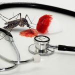 Dengue Doação de Sangue